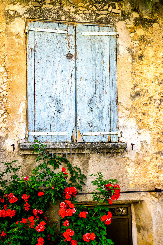 Closed Blue Shutters, Provence 
 Rustic blue shutters on an old Provenal house with vivid red roses below 
 Keywords: Rustic, blue, shutter, shutters, old, Provenal, house, vivid, red, rose, roses, Provence, France