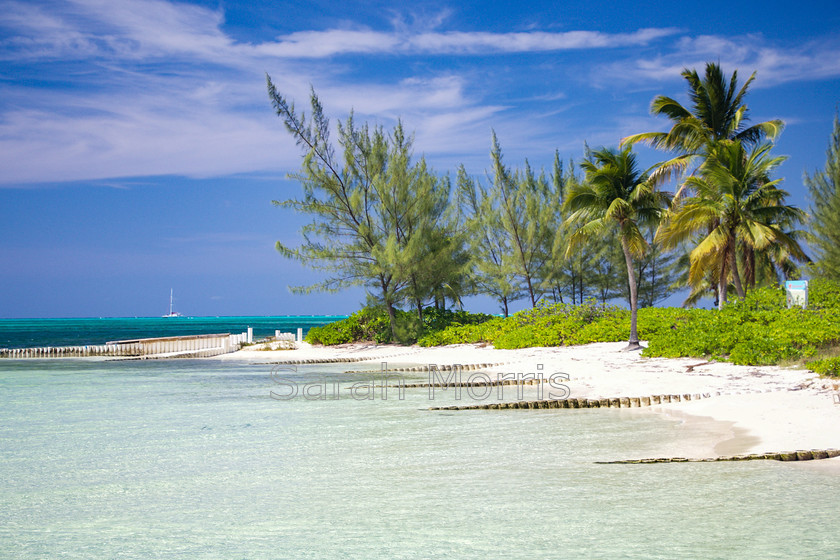 Starfish-Point 
 Crystal clear waters at Starfish Point, Grand Cayman 
 Keywords: Crystal, clear, water, Starfish, Starfish Point, Grand Cayman, exotic, idyllic, paradise