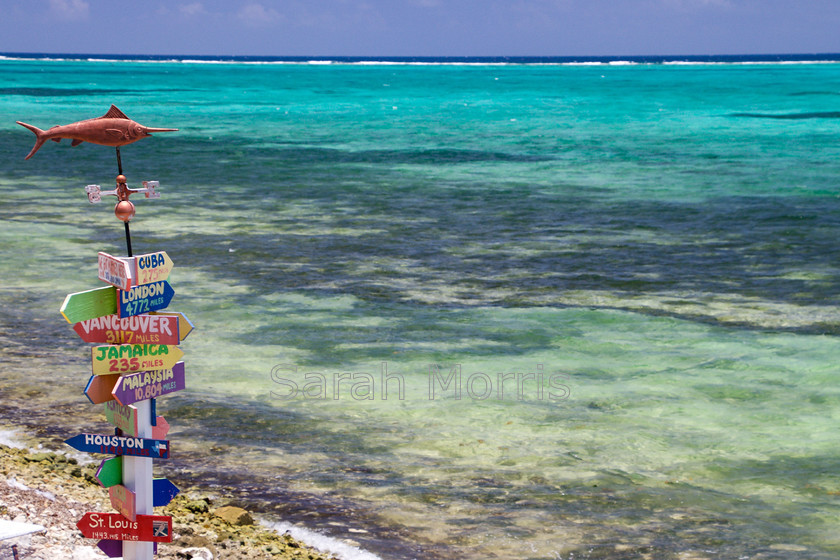 Which-way 
 Overlooking a beautiful blue and green sea with a colourful direction post in Grand Cayman 
 Keywords: Blue, green, sea, beautiful, colour, colourful, direction, post, Grand Cayman, exotic, idyllic